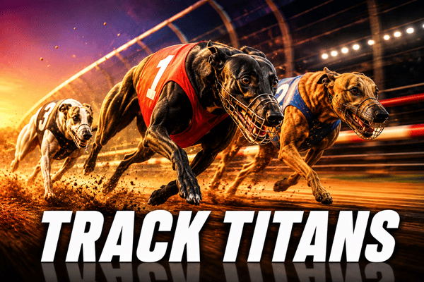 Greyhound dog racing track titans night race with dogs in jerseys - greyhound racing game